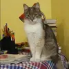 Отзыв от Оля Ушакова